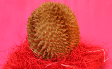 Durian The King of Fruits